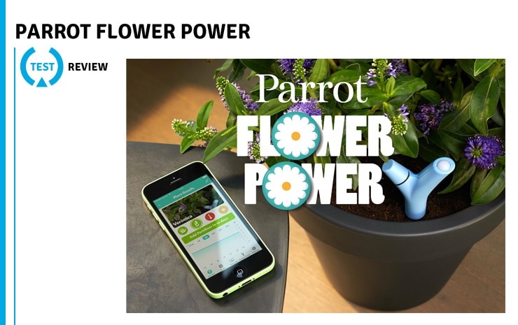Test Power Flower Parrot