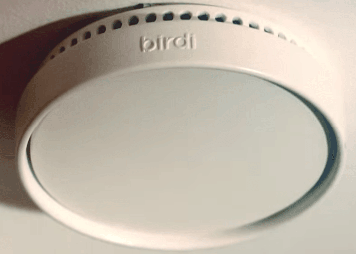 Birdi