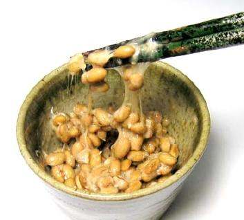 Bacillus subtilis natto