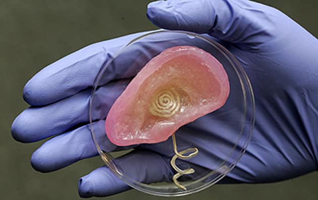 Après une dizaine d'années de recherches, des scientifique américains du centre médical Wake Forest Baptista ont réussi l'exploit de créer une oreille humaine grâce à l'impression 3D
