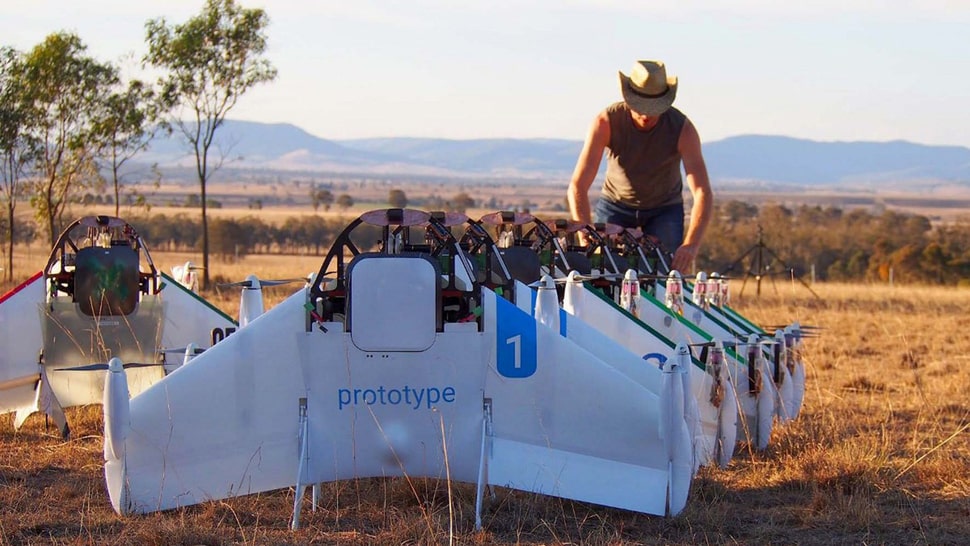 projet wing drones secouristes