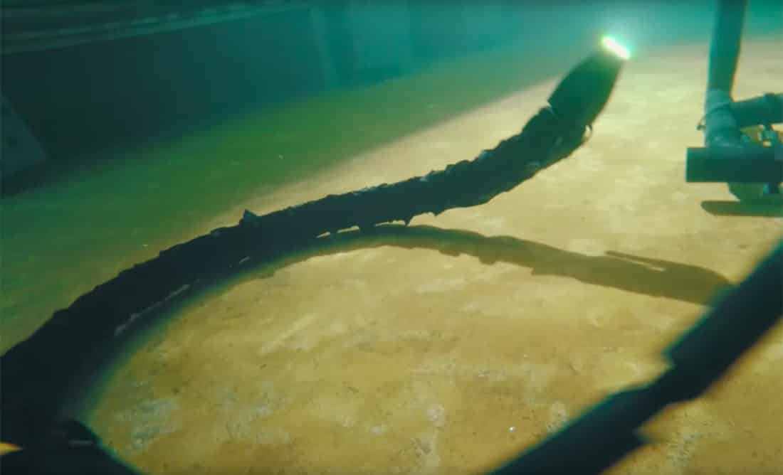 Le robot serpent qui peut inspecter les engins sous-marins