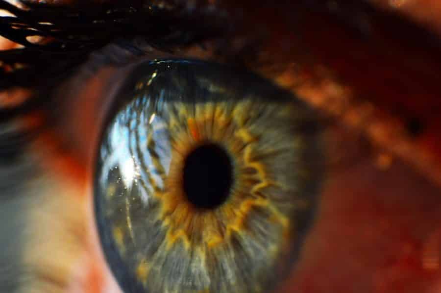 lentilles bioelectroniques zoom oeil humain vert