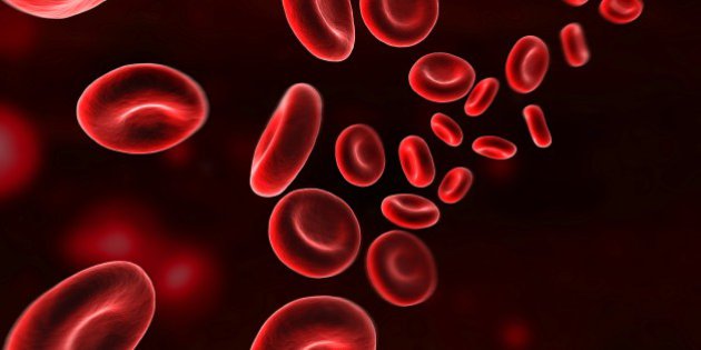 sang artificiel, globules rouges