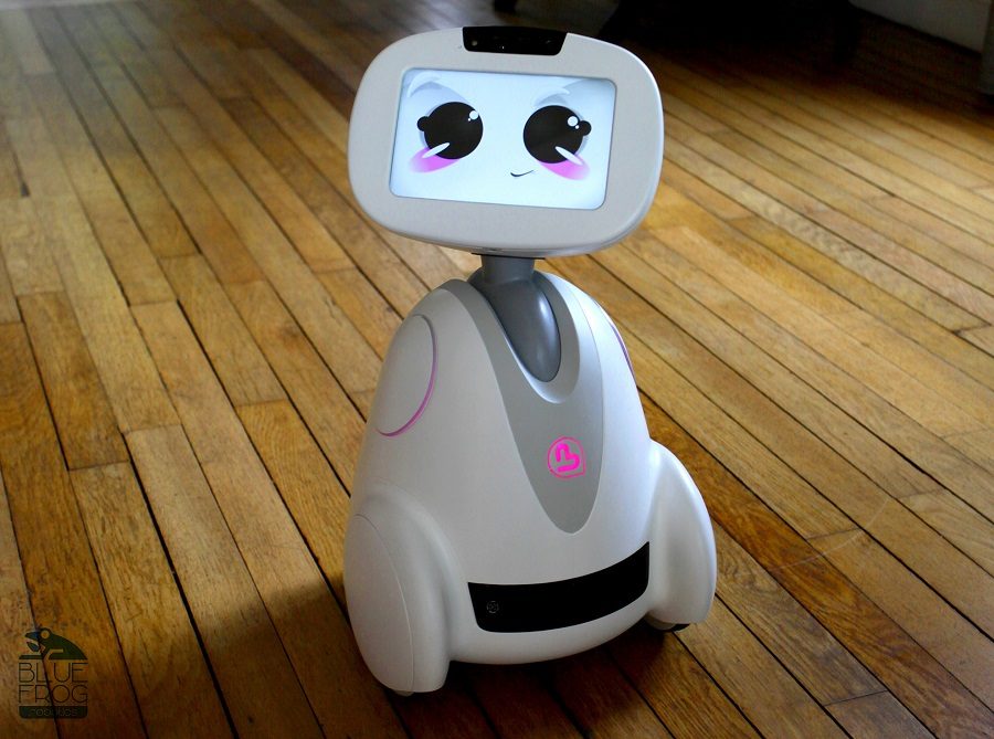 buddy robot compagnon