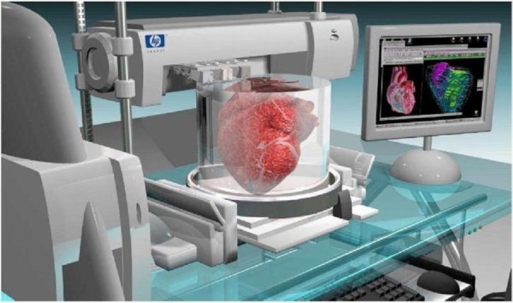 Imprimes en 3D d'organes 