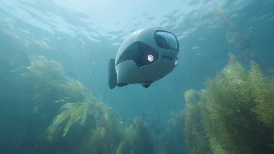 robosea biki drone sous-marin