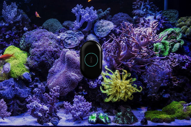 moai robot aquarium