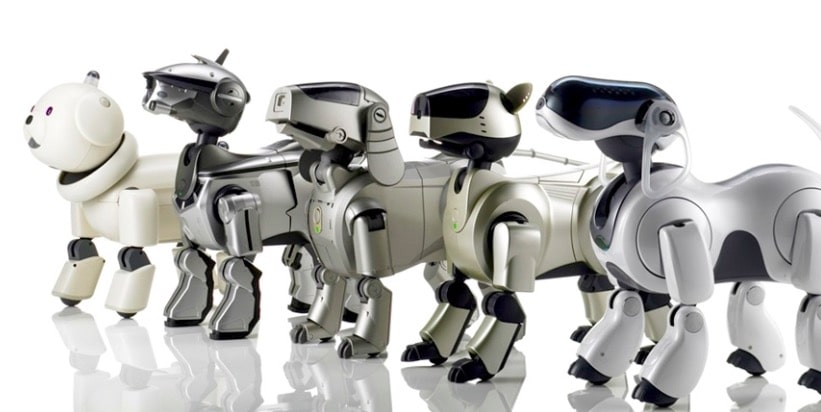 chien robot, robot canin, sony aibo, ia, intelligence artificiel, ia dog