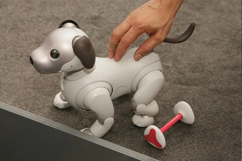 Aibo robot chien