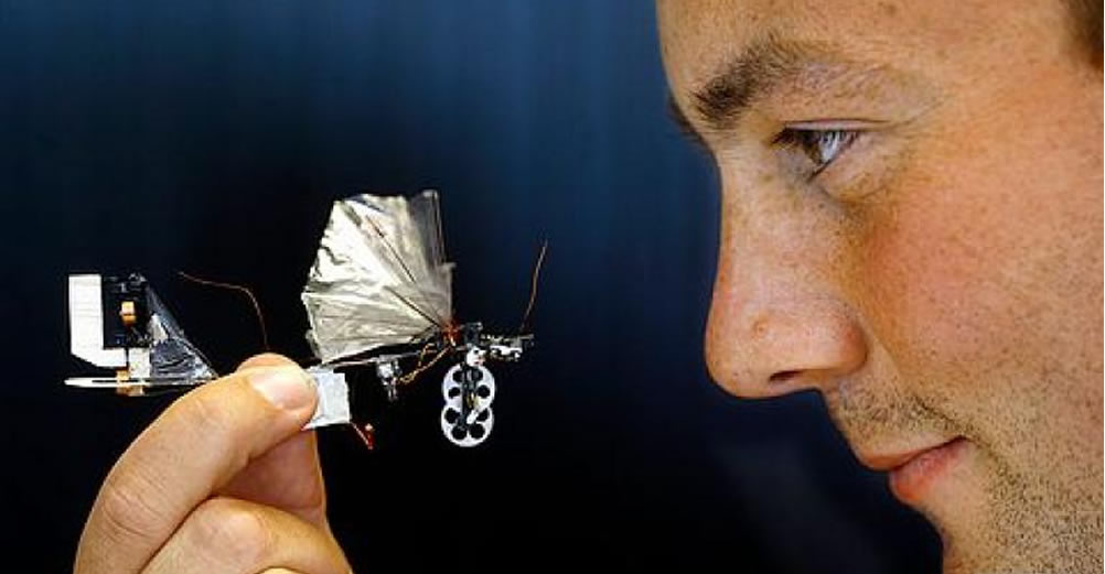 Delfly Nimble robot volant insecte