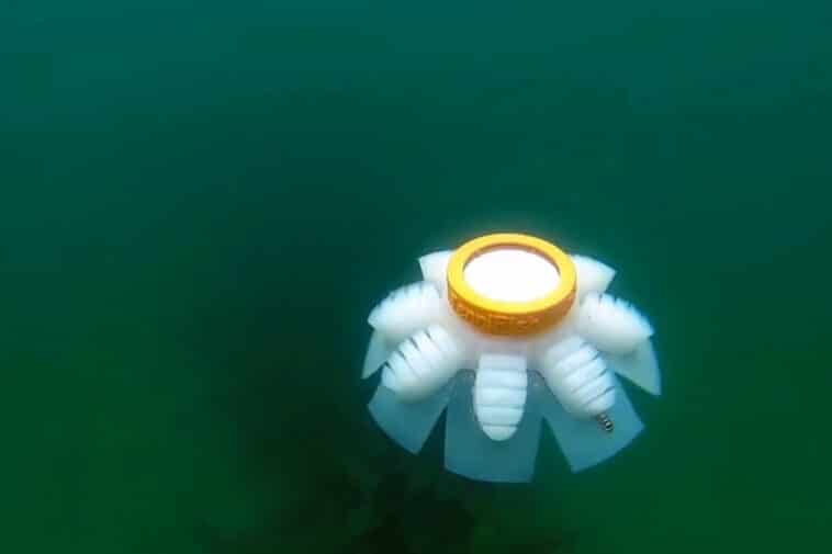 robot méduse océan