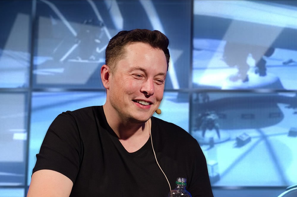 Fortnite Elon Musk