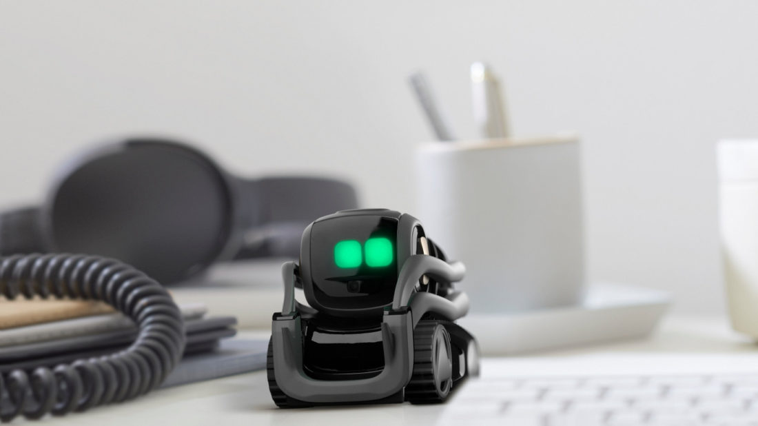 Robot Vector compatible Alexa