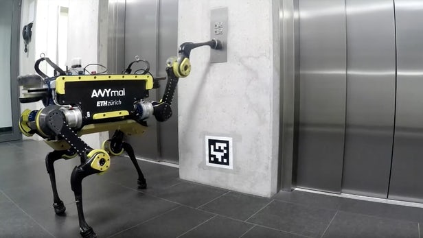 Robot chien entraîné dans le monde réel et virtuel