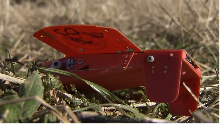 Un drone Cicada à la fin du test de la Nasa