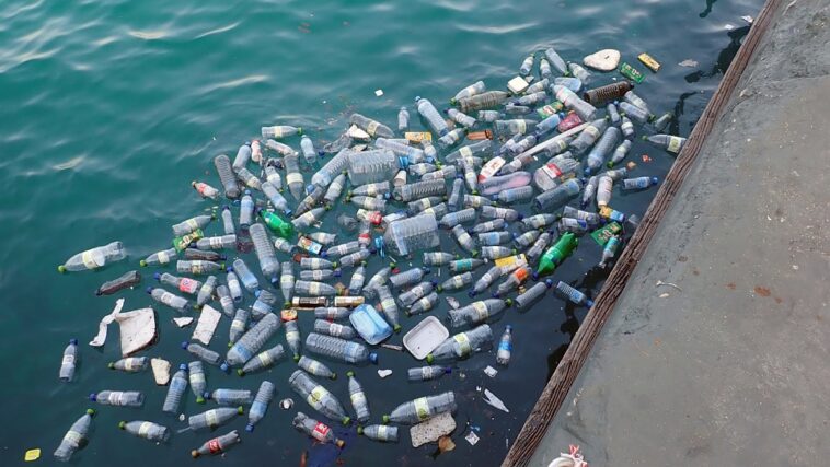 Benoît lecomte va nager à travers ce type de déchets plastiques