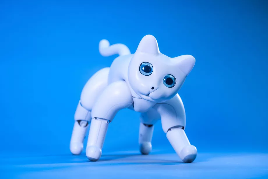 robot chat marscat