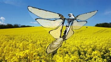 metafly, robot papillon