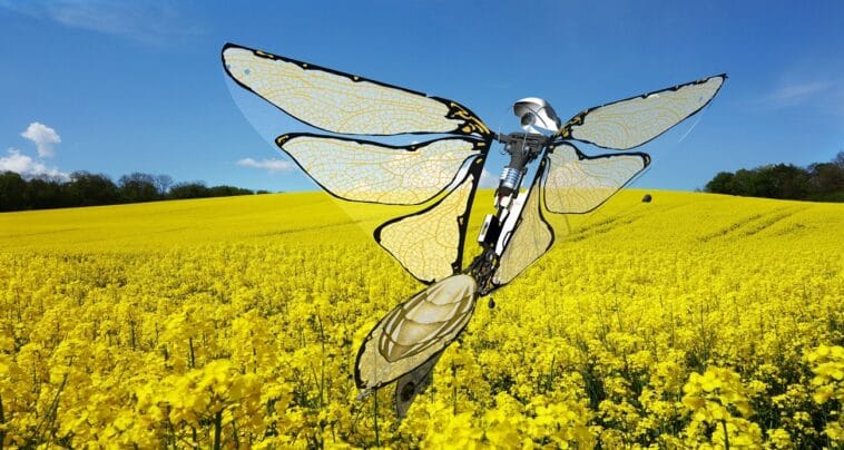 metafly, robot papillon
