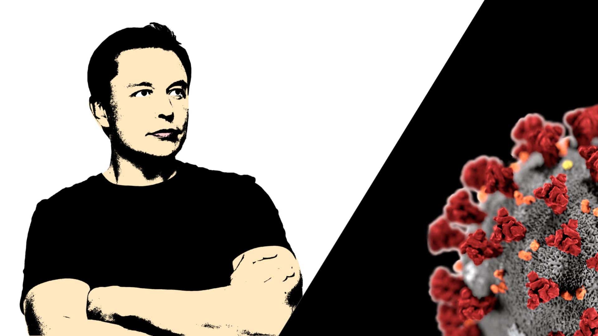 elon musk, coronavirus