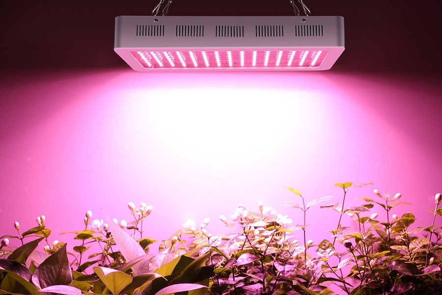 potager connecté éclairé par led