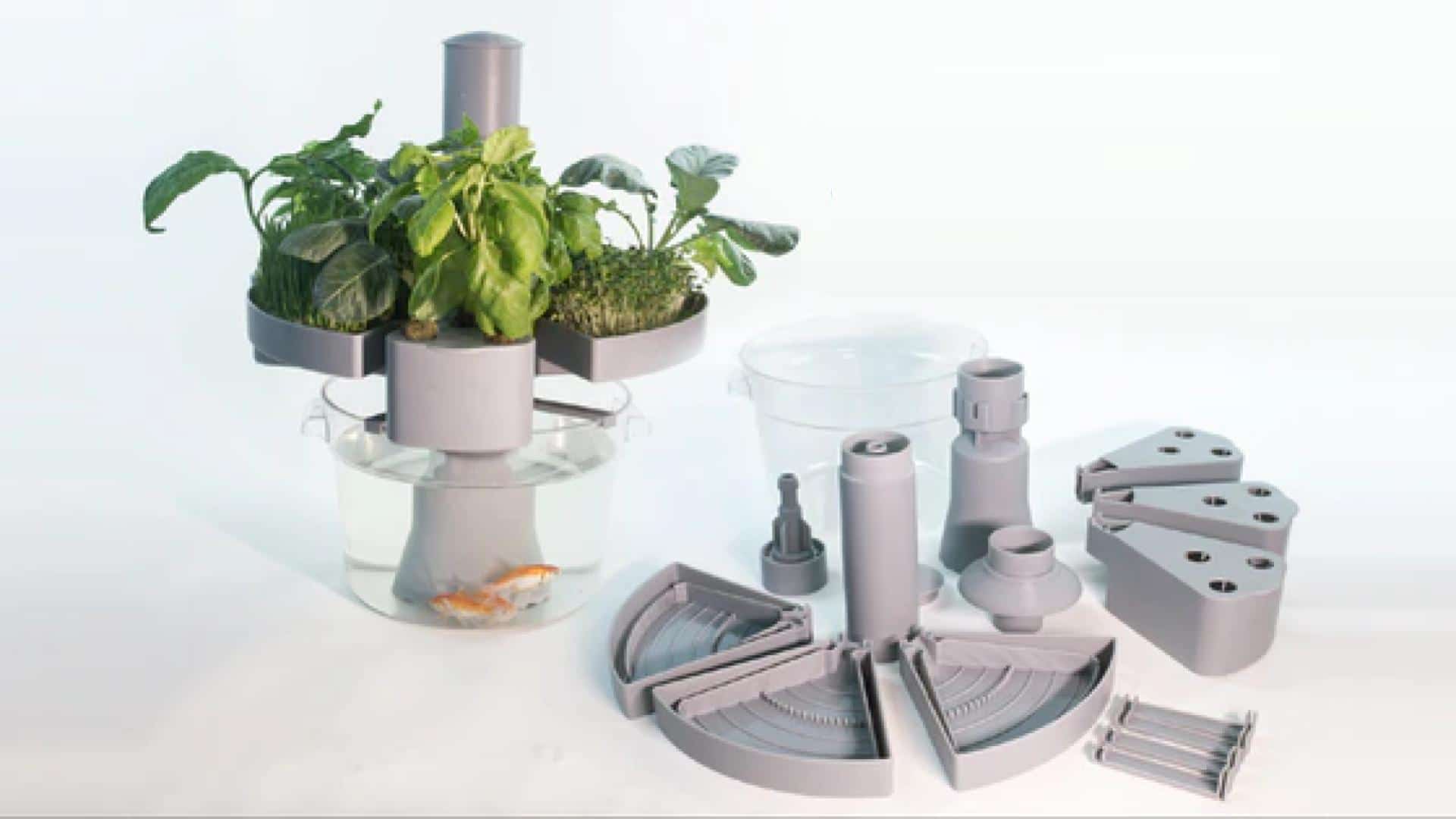 aquatree potager d'intérieur