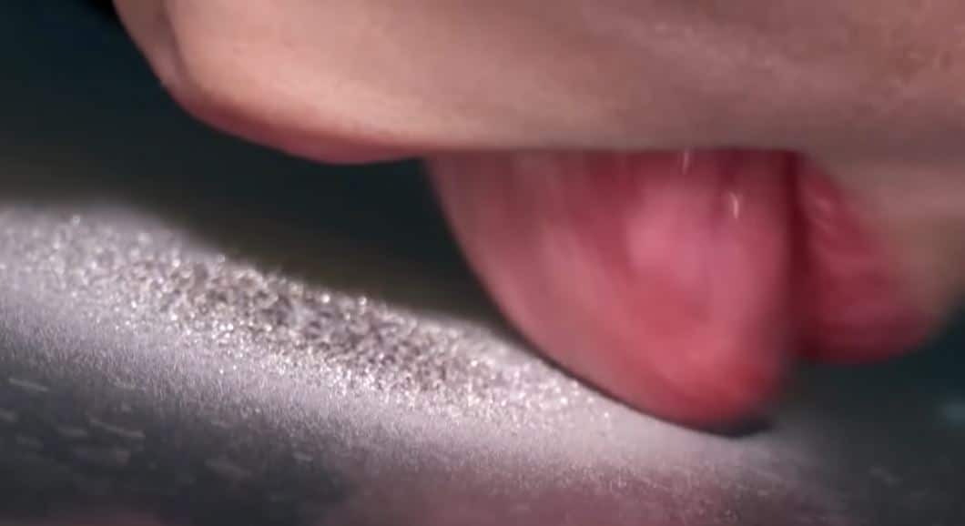 taste the tv, télé à lêcher