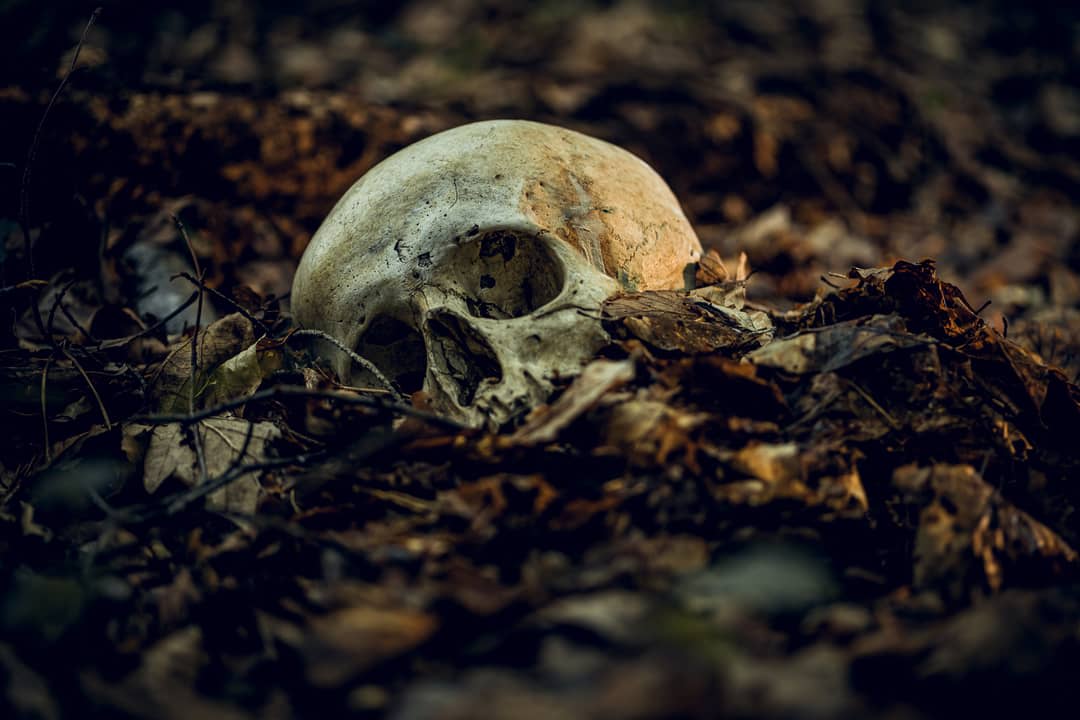 compost humain