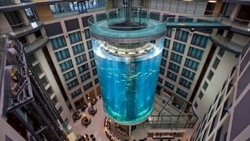 aquarium éclate dans un hôtel