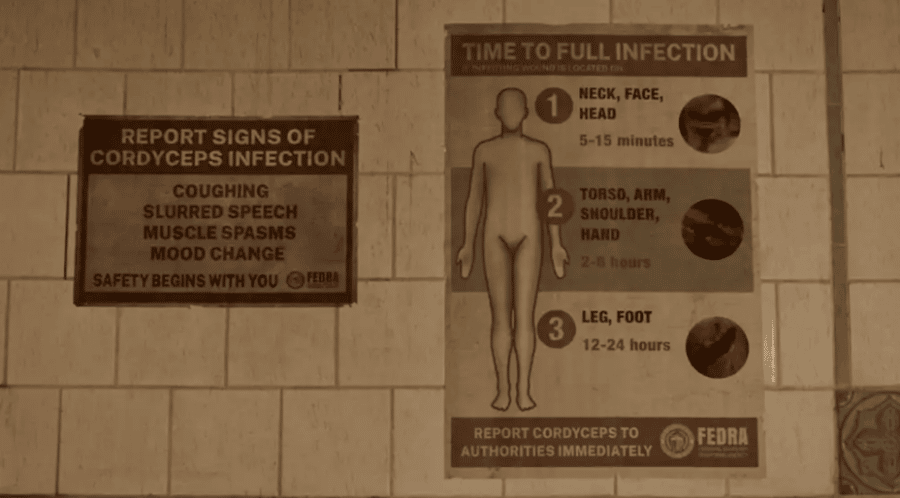 Les affiches de la FDRA qui renseignent sur l'infection au Cordyceps.
