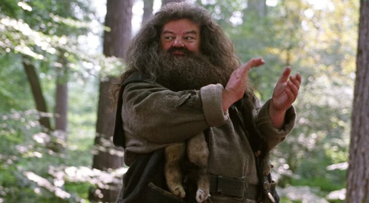 Robbie Coltrane en tant que Hagrid dans les films Harry Potter