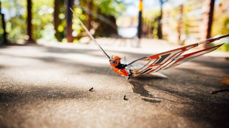 Drone biomimétique X-Fly Bionic Bird