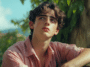 Films avec Thimothée Chalamet