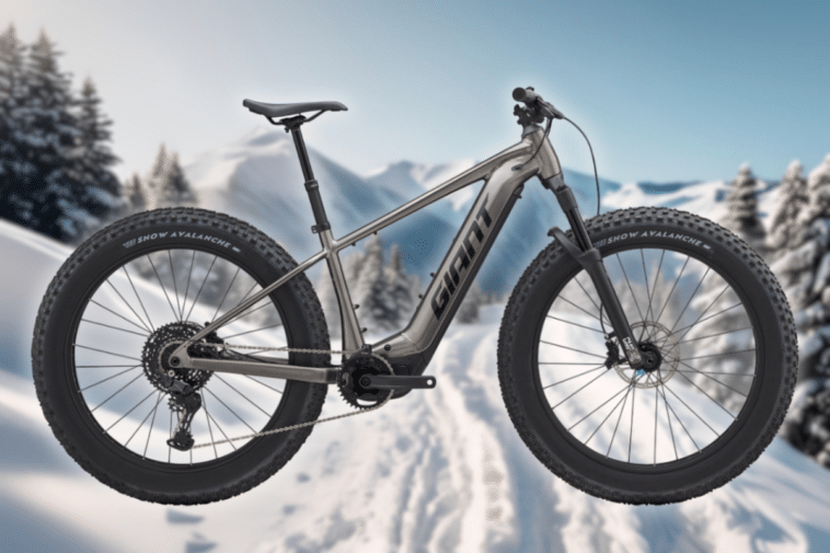 Ce nouveau fatbike électrique de Giant va tout franchir !