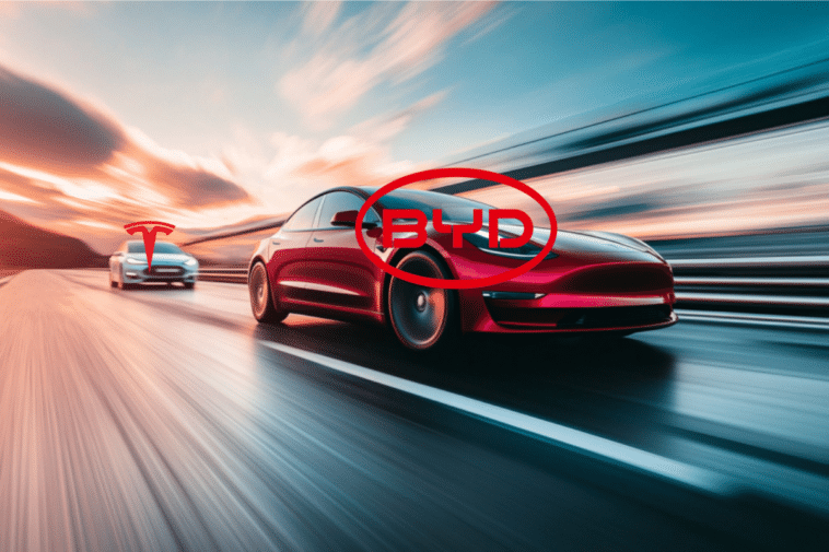 Tesla se fait littéralement écraser par BYD sur le marché international des voitures électriques