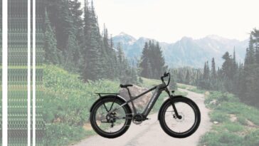 Photo du vélo électrique Mokwheel Basat, sur un chemin de montagne
