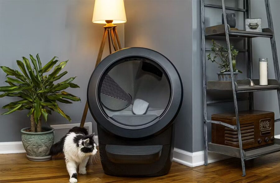 Whisker, innovation pour le confort des chats