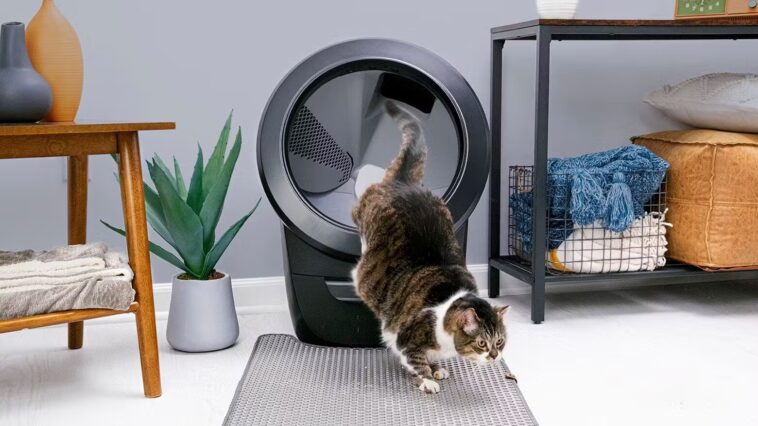 Whisker, innovation pour le confort des chats