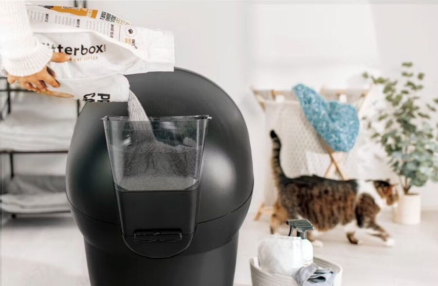 Whisker, innovation pour le confort des chats