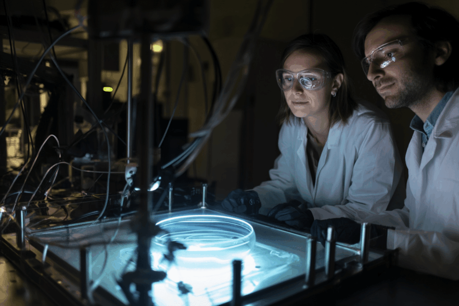 Redynamisez votre batterie électrique grâce à ce nouvel élément !