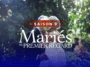 regarder Mariés au premier regard gratuitement