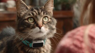 IA Baidu sons des animaux