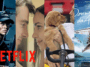 Nouveautés Film Netflix