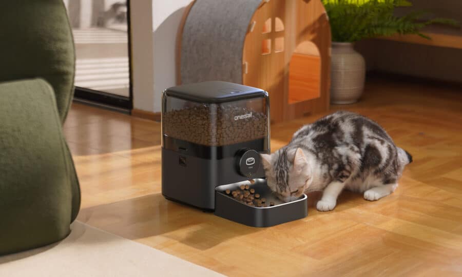J’ai utilisé le OneIsAll : un distributeur intelligent qui facilite la vie des propriétaires de chats