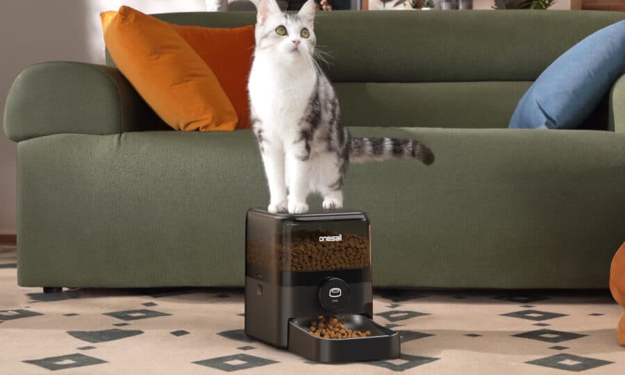 J’ai utilisé le OneIsAll : un distributeur intelligent qui facilite la vie des propriétaires de chats