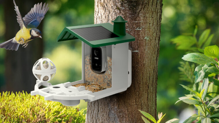 La mangeoire connectée Smart Birdfeeder
