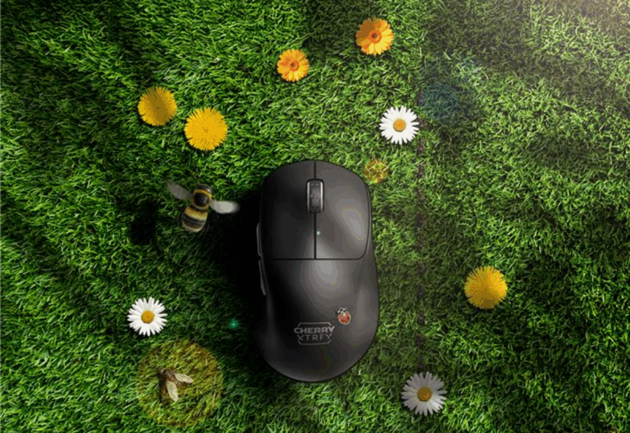 Summer Time - Game Time de Cherry