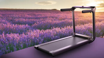 X218 Lavender Edition