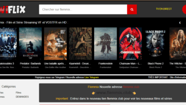 flemmix wiflix novembre 2025